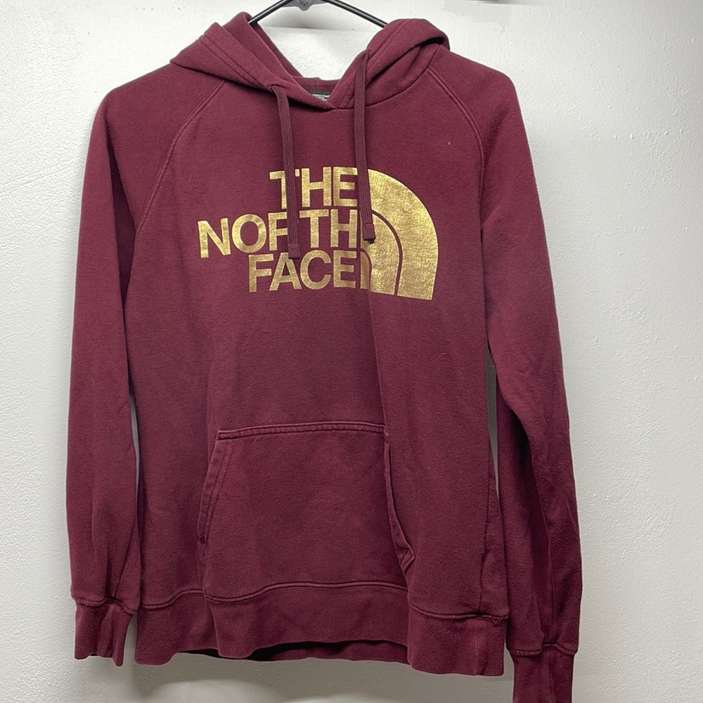 The north face hoodie